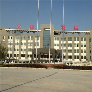 公司大楼