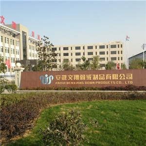 公司外景